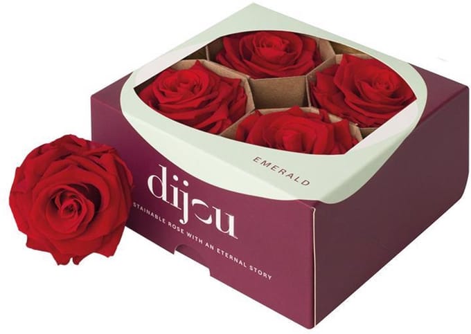4x Dc pres.rozen light red 1795c