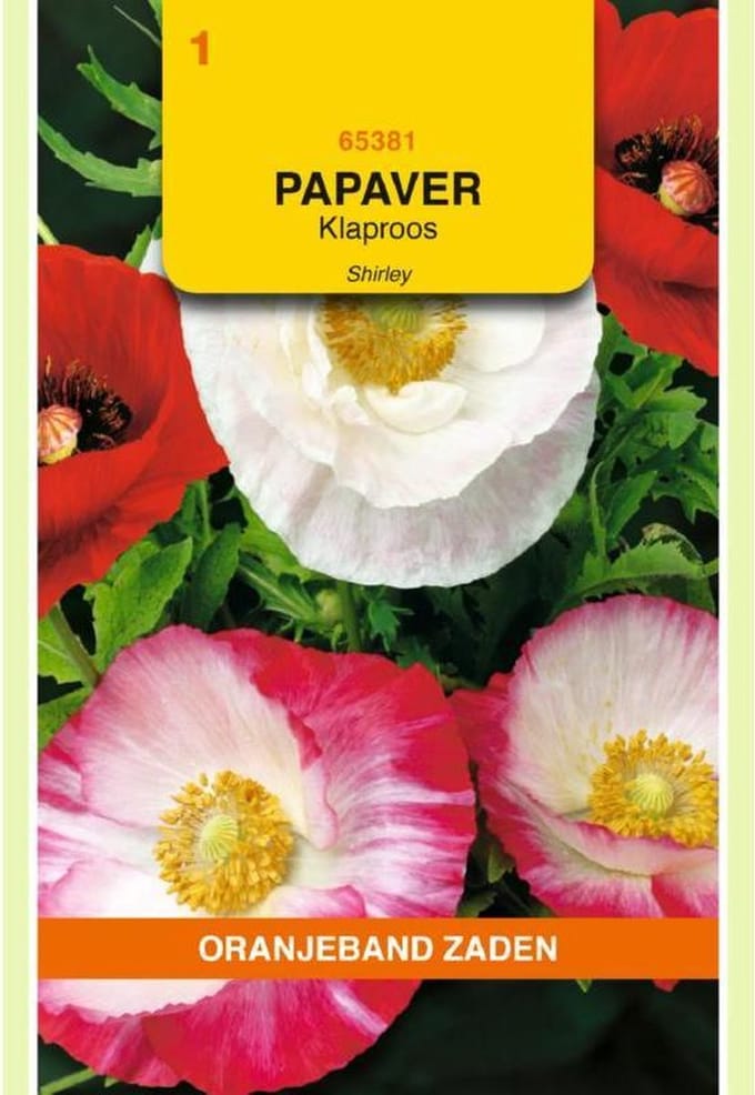 Oranjebandzaden -  Papaver, Klaproos Shirley