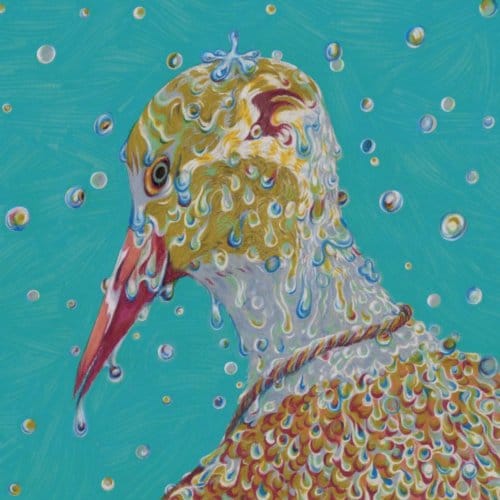 Chartreuse - Morning Ritual (LP)
