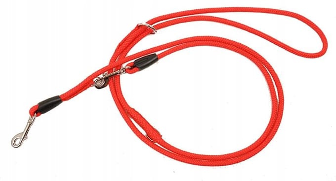 Dino Hondenlijn Koord Rood 12mm/200cm - Duurzaam en Veilig
