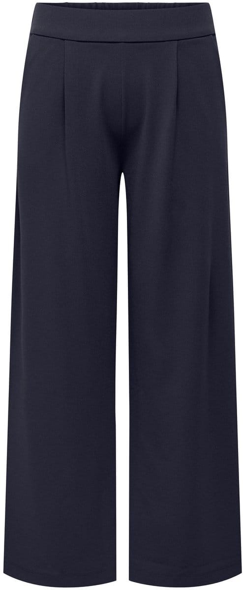 ONLY CARMAKOMA - CARSTILLA ONE PANT JRS NOOS - Dames - Leggings