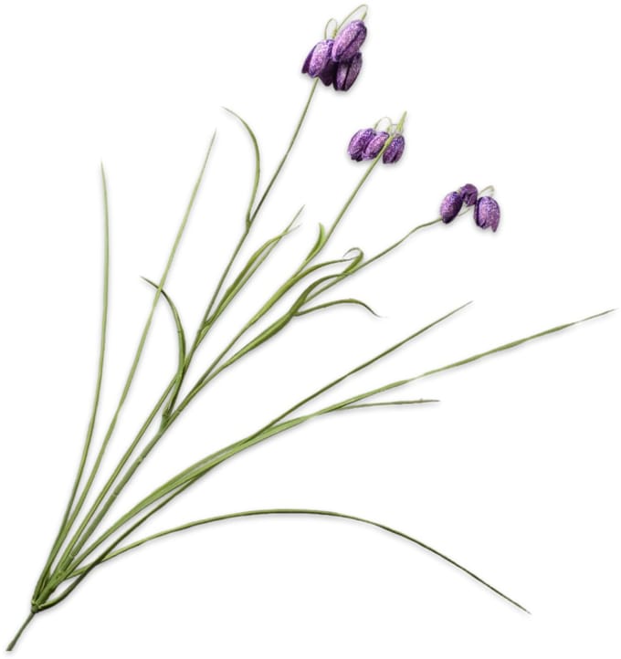 Silk-ka - Kunstbloem - paars - H71 cm