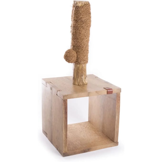 Kattenboom Martin Sellier Cafeier cube