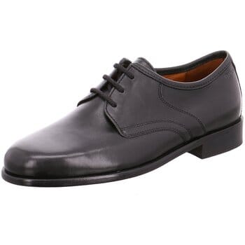 Nette Schoenen Sioux -