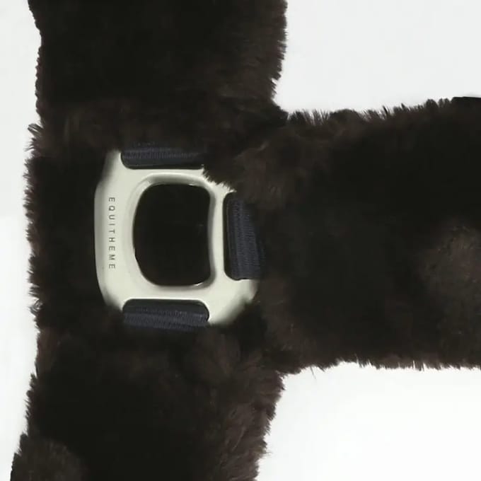 Halster voor paarden Equithème Teddy