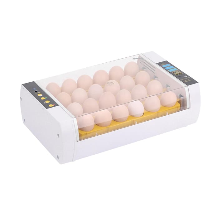 Intelligente automatische eierincubator met 24 eieren en temperatuurregeling voor het uitbroeden van kippeneend US Plug beige