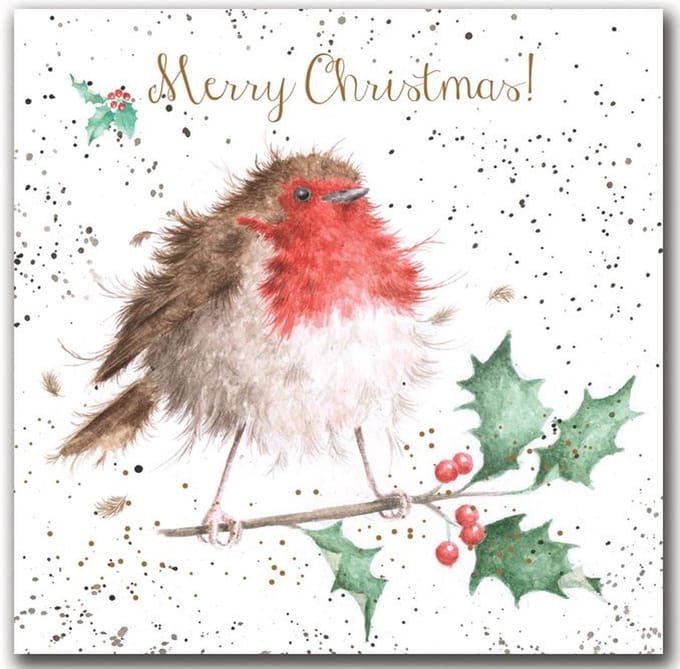 Wrendale Designs - Set 8 Wenskaarten Kerst - The Jolly Robin