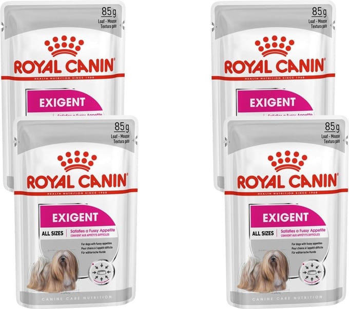 Royal Canin - Exigent Hondenvoer Nat - 48 x 85 gr