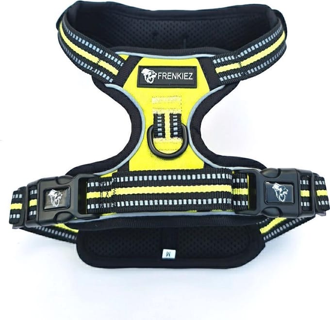 Frenkiez Reflective Basic Dog Harness, Green/yellow, XL