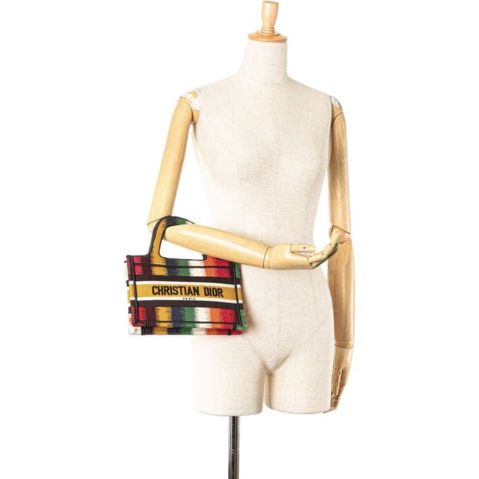 Dior Boek Tote Multikleur Gestreept