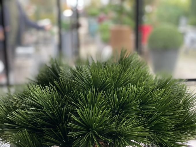 Klein kunstboompje Pinus Bonsai 55 UV