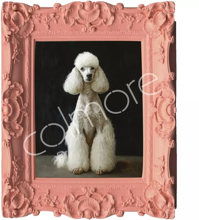 Colmore by Diga handbeschilderd schilderij roze met poedel 30 x 35 cm