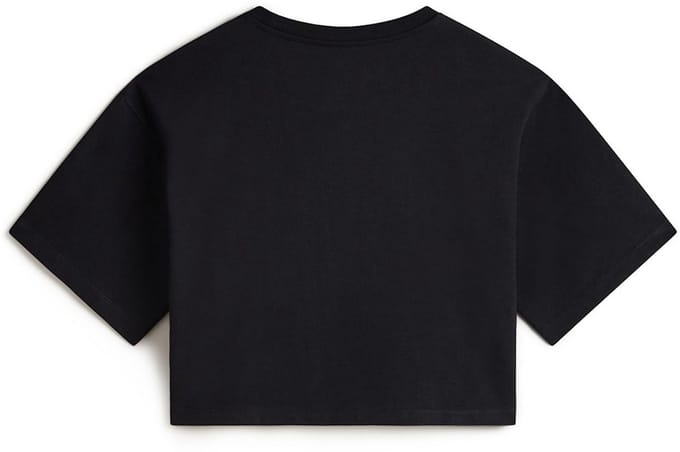 Vans Dames-shirt W Salton Relax Crop Ss 000P5Q