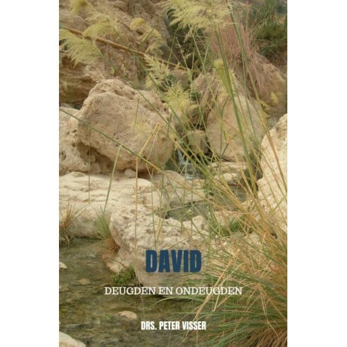 David - Drs. Peter Visser