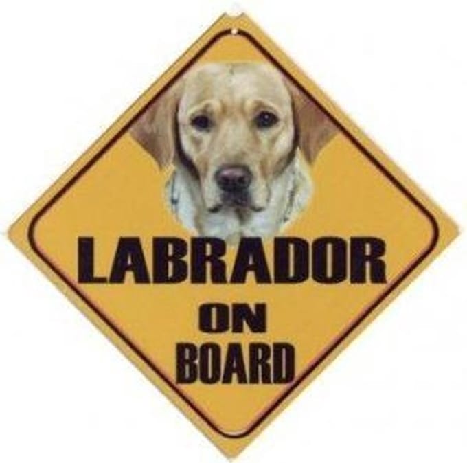 Autobordje Labrador Blond
