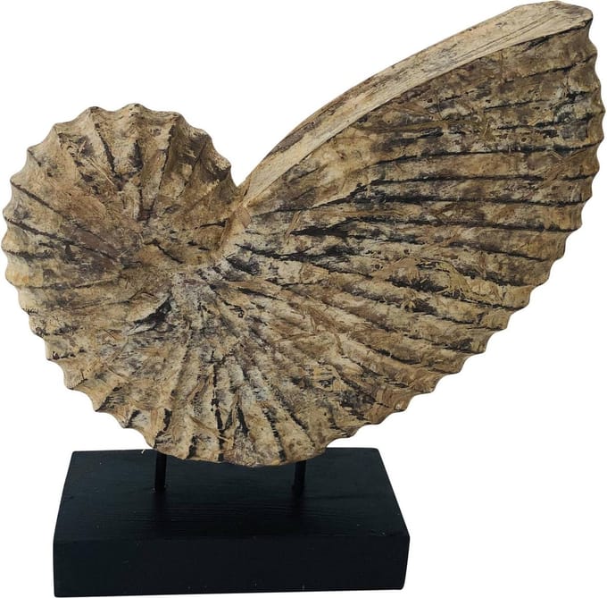 shell on stick | 30x9x30 | beige