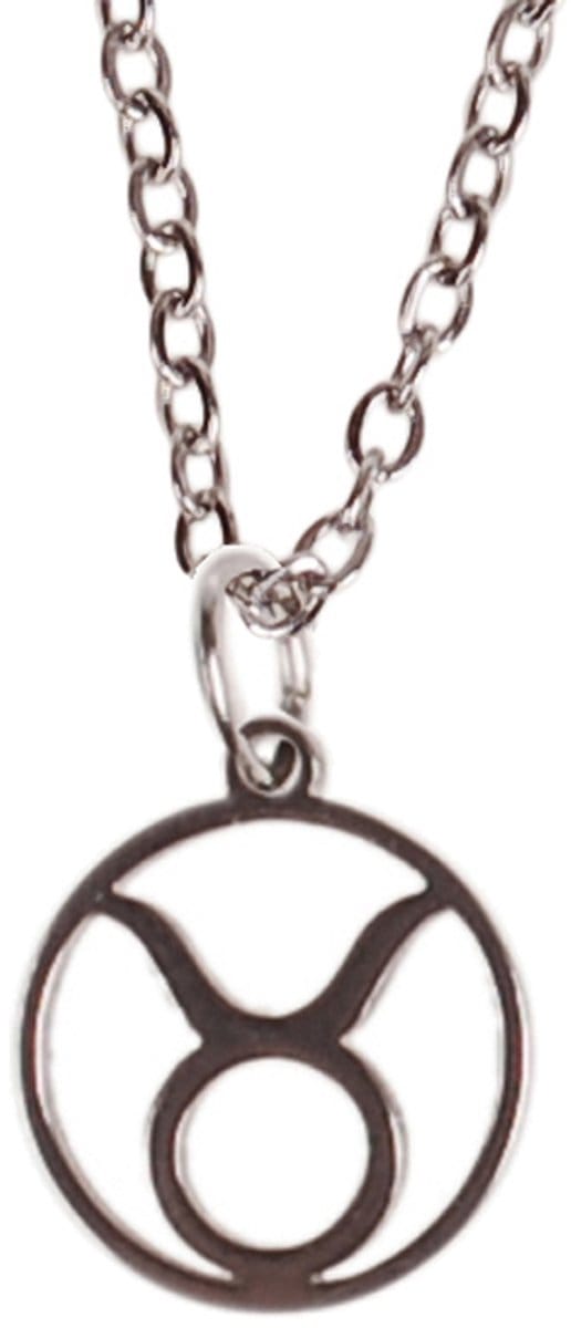 Ketting Zilverkleurig 55cm - Hangertje Sterrenbeeld RVS - Stier