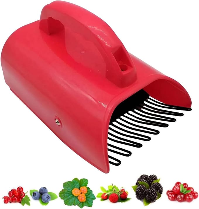 Bessenplukker Handvat - Fruitverzamelaar Hark - Efficiënt Oogsten - Ergonomische Grip - 29 x 20 x 8.9 cm - Groen