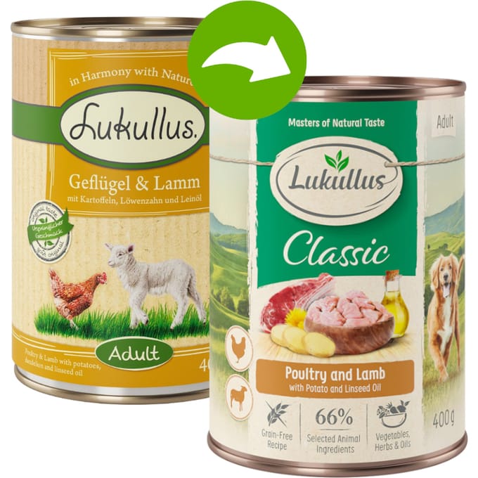 Lukullus Probeerpakket 6 x 400 g / 800 g + 12 x 5 cm Kauwbotten Hondenvoer - Wild Konijn & Kalkoen 6 x 400 g
