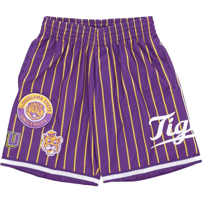 Basketbalshort heren NCAA Hometown Mesh Short Loutig Paars