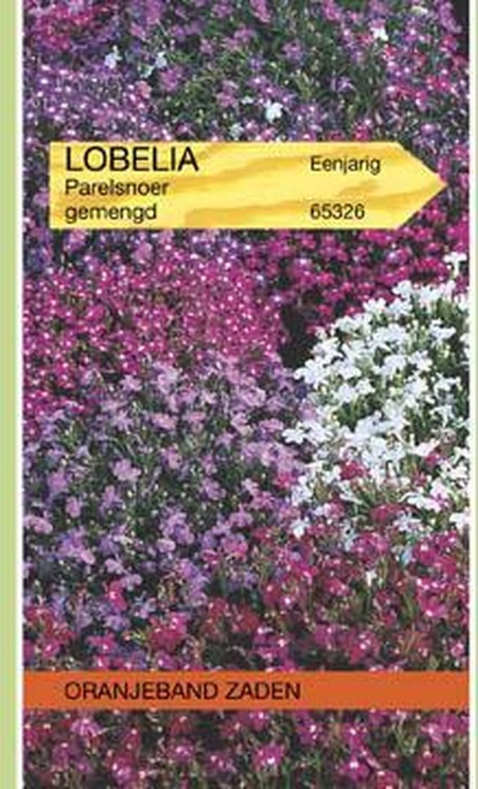 Lobelia Parelsnoer gemengd