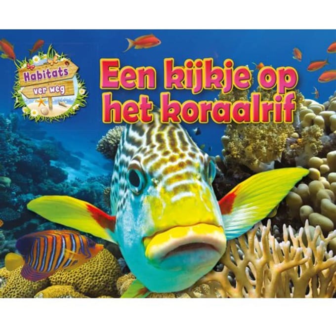Een Kijkje Op Het Koraalrif - Habitats Ver Weg - Honor Head
