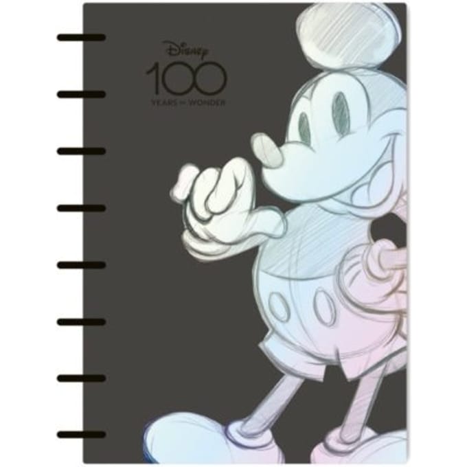 Disney 100 opal collection mickey - agenda a5 (2024 - 2026)