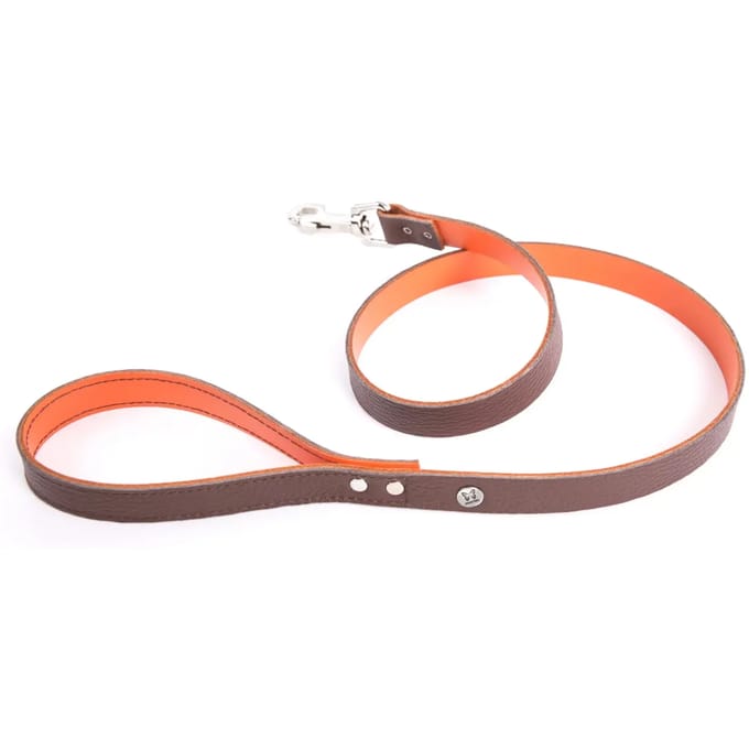 Hondenriem Martin Sellier Allure T100