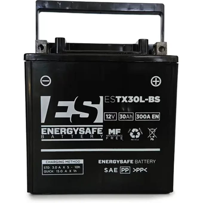 Batterij Energy Safe ESTX30L-BS