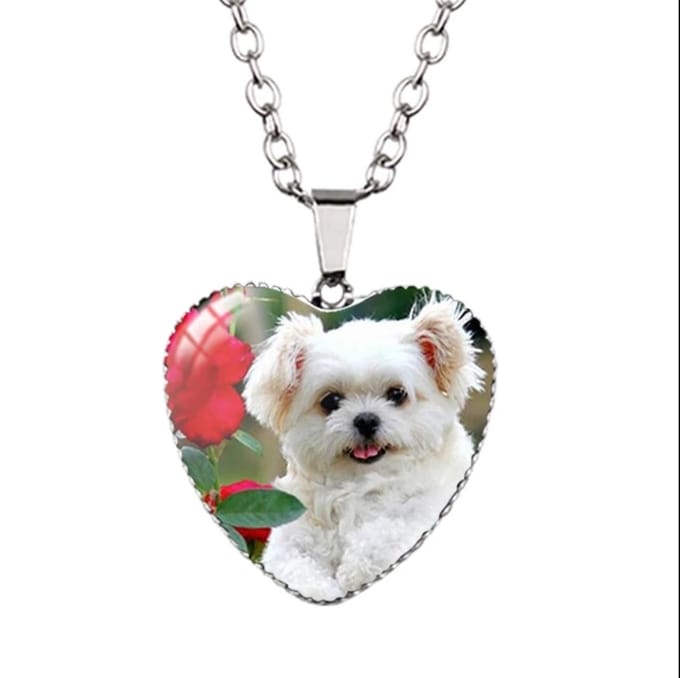 Ketting - Hartvorm - Hond - Verzilverd - Glazen Kapje - Emmyrovi