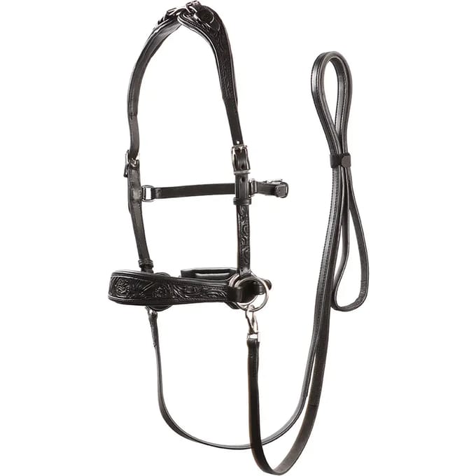 Bitloos hoofdstel voor paarden Edix Saddles ED2-Brightstar