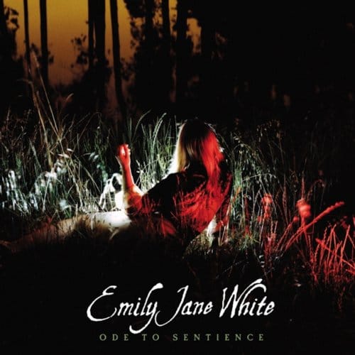 Ode To Sentience - Emily Jane White
