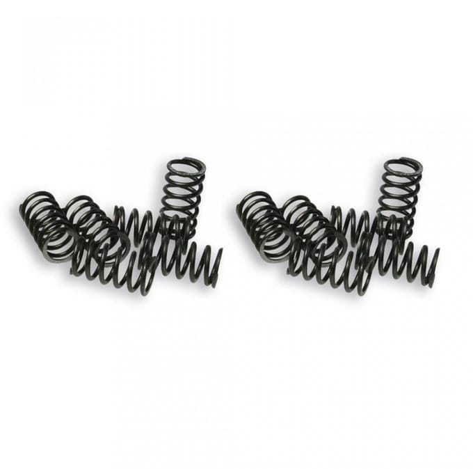Ressort d embrayage Malossi pour Auto Piaggio 50 APE FL 2916649 Neuf