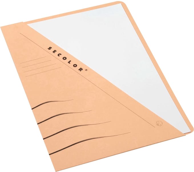Insteekmap djois sec a4 recy 250gr chamois | 100 stuks