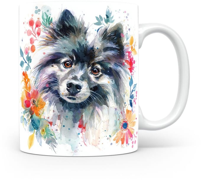 Beker Keeshond