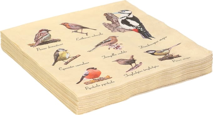 Servetten met vogels print - 60x - papier - 33 x 33 cm - tuinvogels - 3 laags