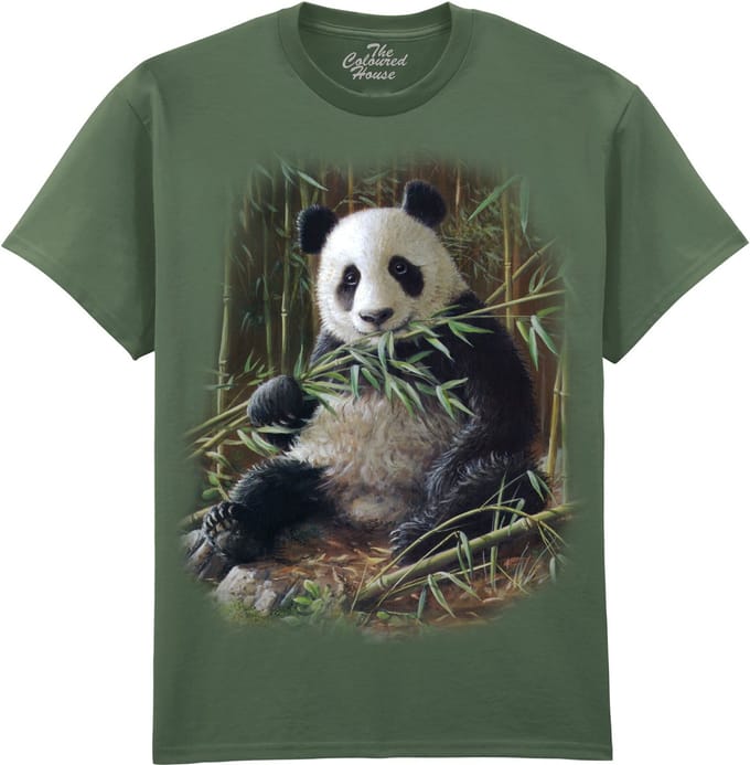 Bamboo Panda The Coloured House T-shirt 4XL