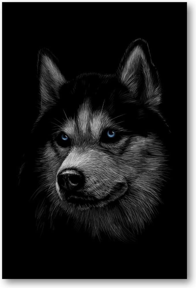 Siberische husky met blauwe ogen - 60x90 Forex Staand - Dieren