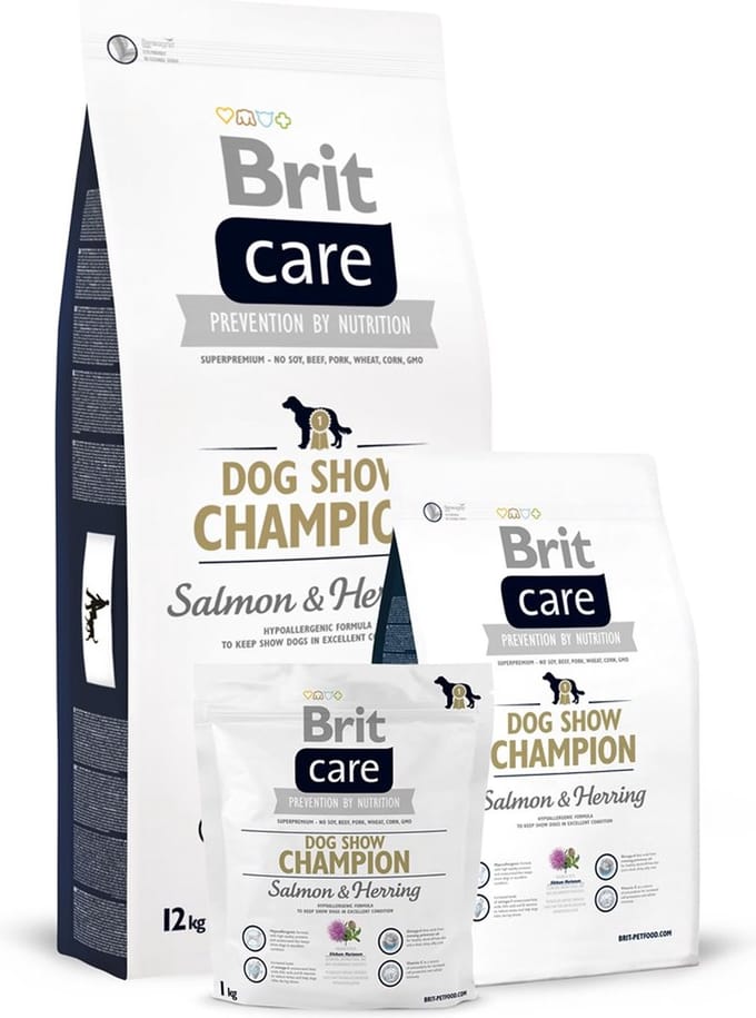 BRIT Care Dog Show Champion 3