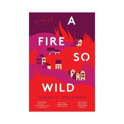 A Fire So Wild - Sarah Ruiz-Grossman