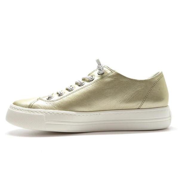 Paul Green 4081
