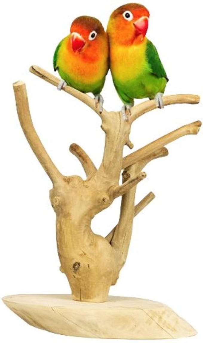 Java speelstandaard - Playstand - klimboom - Mini - koffiehout - 30 x 18 cm