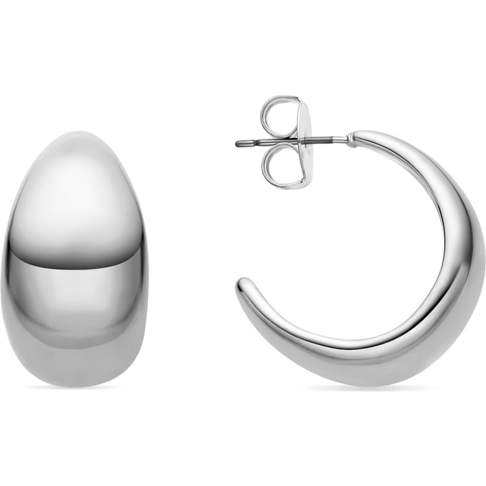 Luxenter Oorbellen met een diameter van 24 mm, zilveren afwerking - Wanisdi