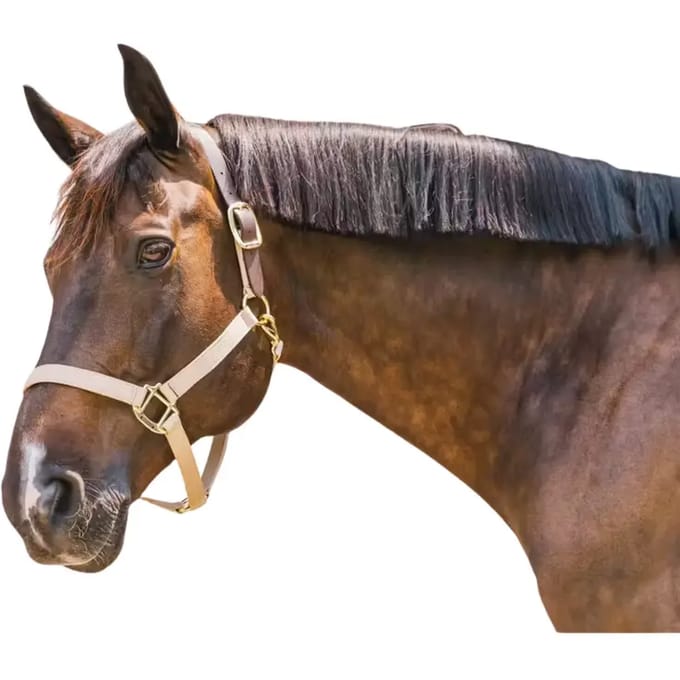 Kentucky Horsewear - Nylon halster Wellington beige cob