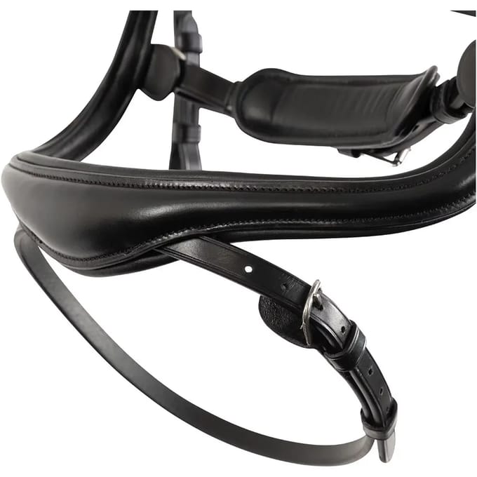 Anatomisch ruiterbit BR Equitation Horley