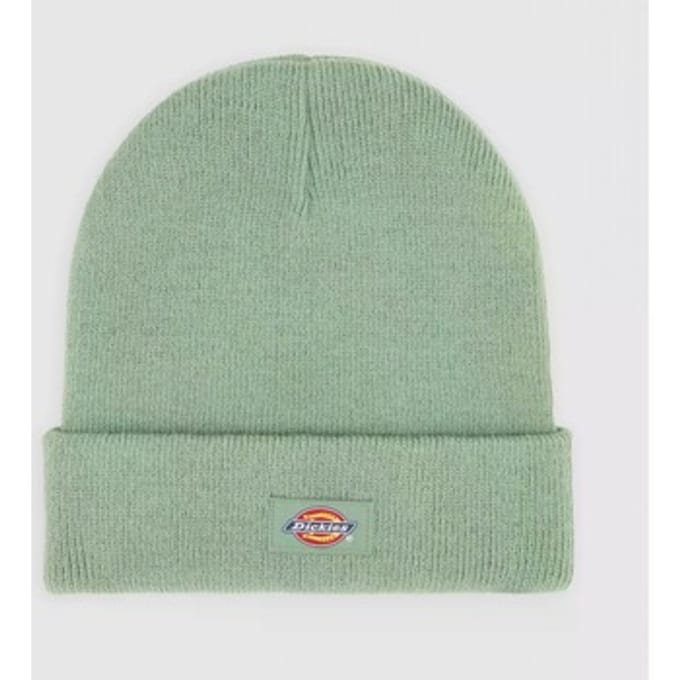 DICKIES GIBSLAND Groen N/A EU