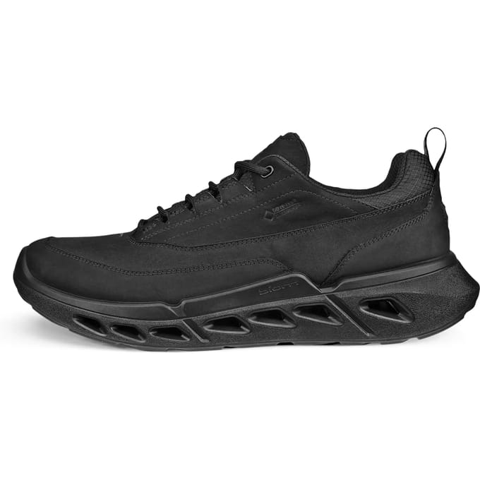 Baskets Ecco Biom 720 Low GTXS Lea