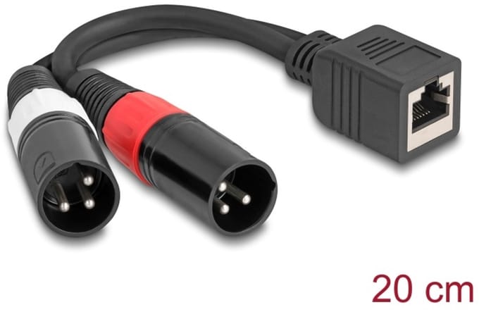 Delock Adapter Cable RJ45 jack to 2 x XLR 3 pin plug black 20 cm