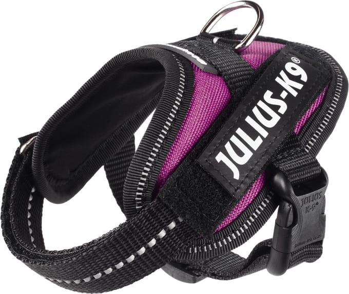 Julius-K9 IDC®Powertuig, 3XS - Baby1, donkerroze