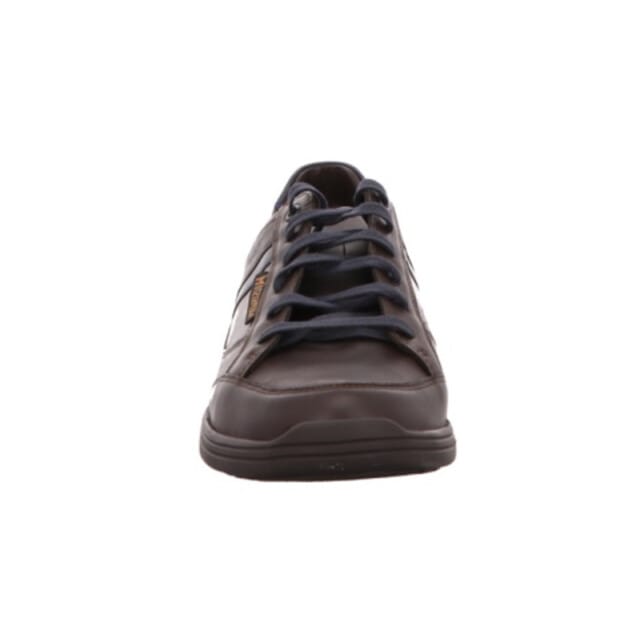 Mephisto Frank